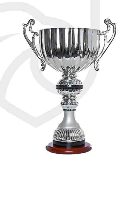 https://bexleytigers.co.uk/wp-content/uploads/2022/11/trophy_overlay_01.jpg
