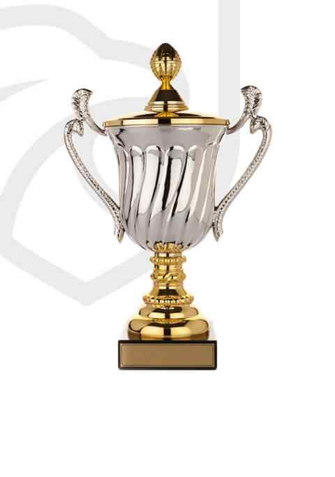 https://bexleytigers.co.uk/wp-content/uploads/2022/11/trophy_overlay_02.jpg