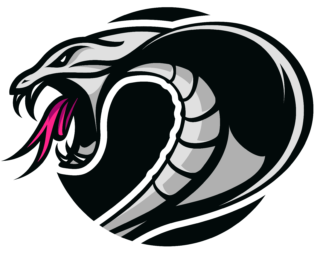 Cobham Cobras https://bexleytigers.co.uk/wp-content/uploads/2025/12/Cobham-Cobras-320x253.png